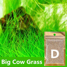 Load image into Gallery viewer, Aquarium Plant Seed Glossostigma Hemianthus Callitrichoides Easy Growing Aquarium Water Plant Grass Seed Fish Tank Lawn Decor
